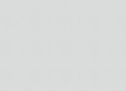 Papis Loveday Fashion Icon