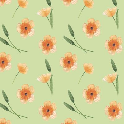 полевые цветы