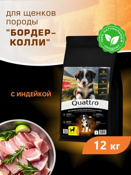 Корм сухой для щенков породы Бордер-колли, с индейкой, 12 кг, QUATTRO