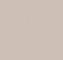 Сканди Дзен Сканди