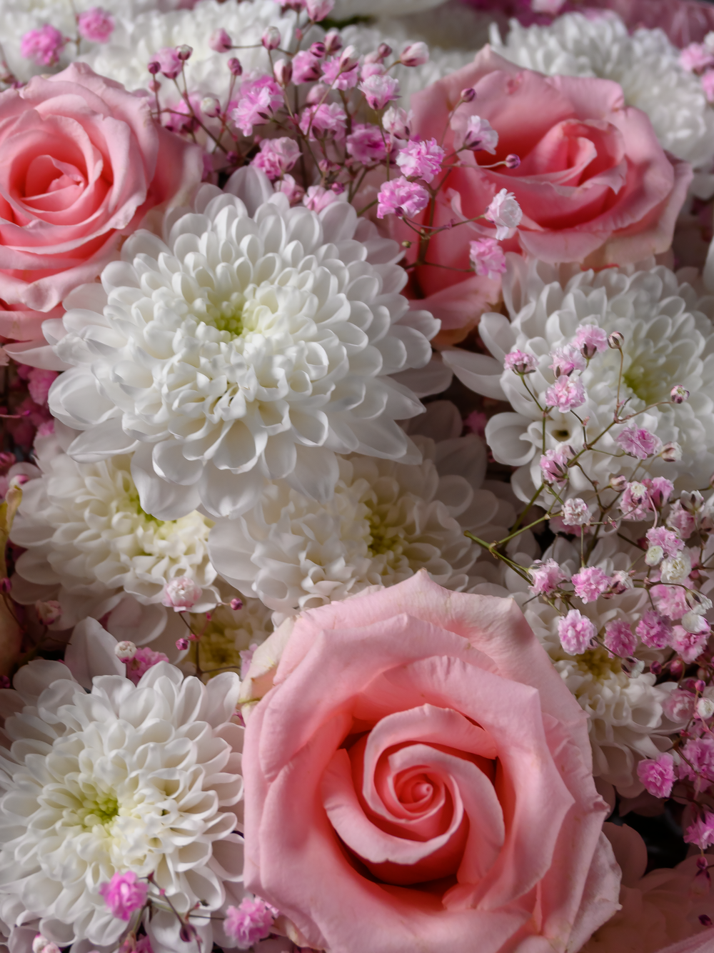 Единственной на свете