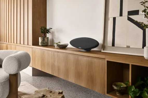 Bowers & Wilkins Zeppelin Pro Edition Space Grey