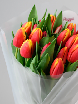 Тюльпаны микс