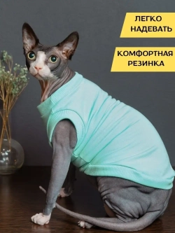 Майка для собак и кошек