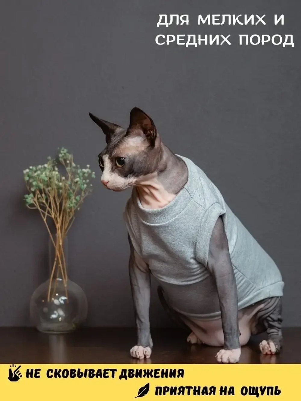 Майка для собак и кошек