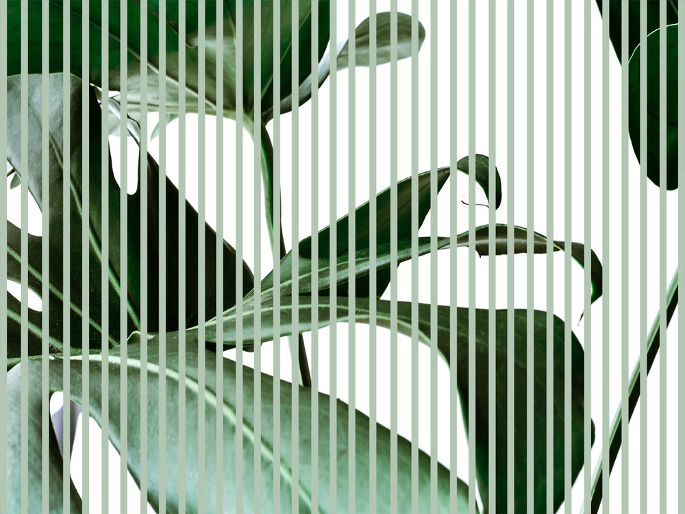 Дизайнерские обои Wall Street GreenDay-22