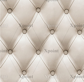 Микровелюр Xpoint / Икспоинт 0054.01 Каретная стяжка