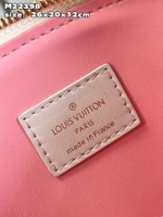 Louis Vuitton Coussin PM