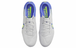 Кроссовки Nike Legend 9 Elite Fg