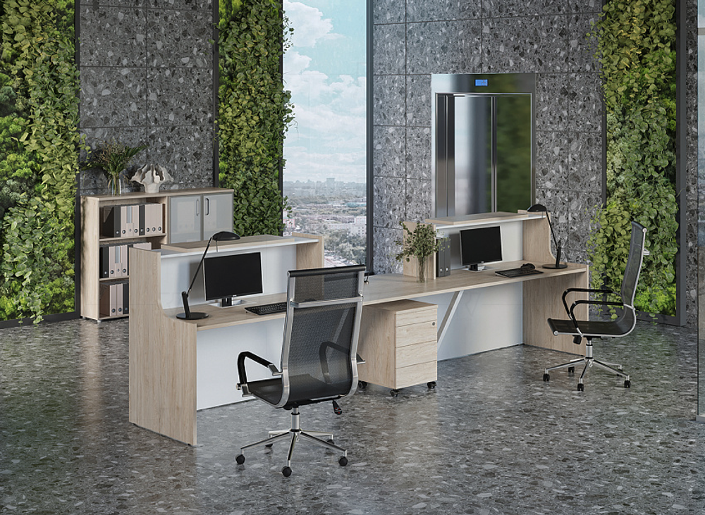 Ресепшен Оникс (Onix) вариант №19