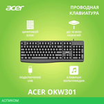 Клавиатура Acer OKW301 черный (ZL.KBDCC.01A)