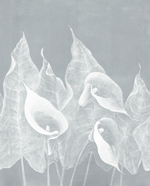 Дизайнерские обои Factura IMPRESSIO