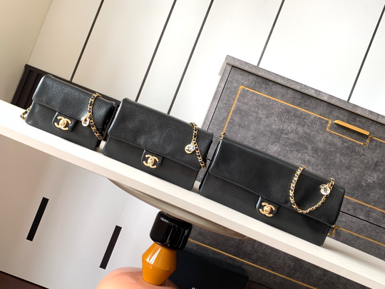 Chanel Bag (3 sizes)