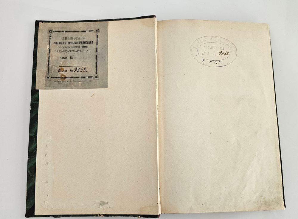 "Экскурсия по Восточной Персии". Н. А. Зарудный. 1901г.