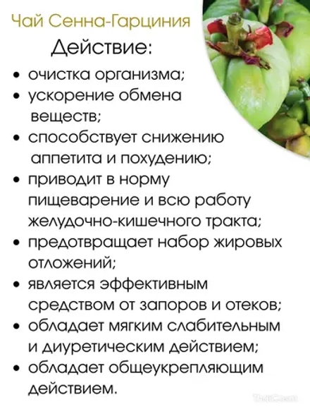 Фиточай СЕННА И ГАРЦИНИЯ, для Похудения + Детокс 20саше