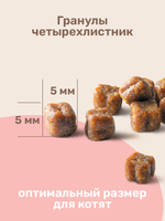 ZOONIK Сухой полнорационный корм для котят, мясное ассорти, 2 кг