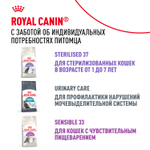 Royal Canin Fit 32 Фит 32 Корм сухой для взрослых умеренно активных кошек от 1 года 4кг