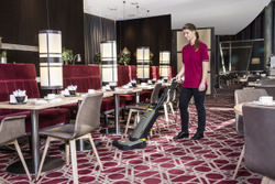 Щеточный пылесос CV 38/2 *EU