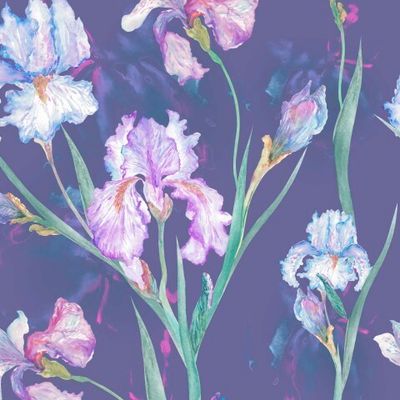 Ирисы в ночном саду