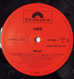 Винтажная виниловая пластинка LP Lake Voices (Germany 1985)