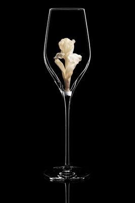 Бокал для шампанского Флюте. / Ирис белый.