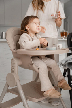 Стул-трансформер для кормления Anex Ozy fluff