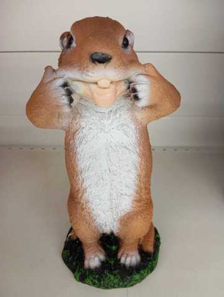 Бурундук (F 08217)