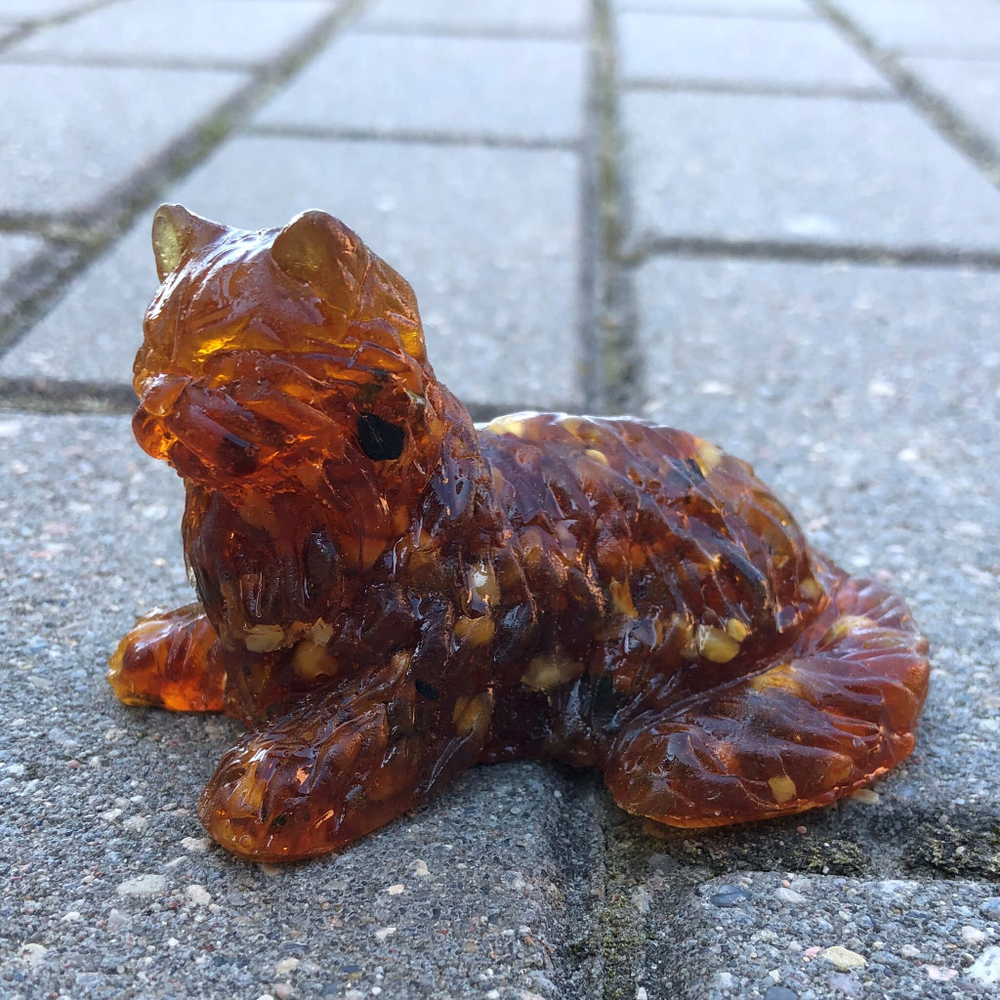 Кошка пушистая лежит