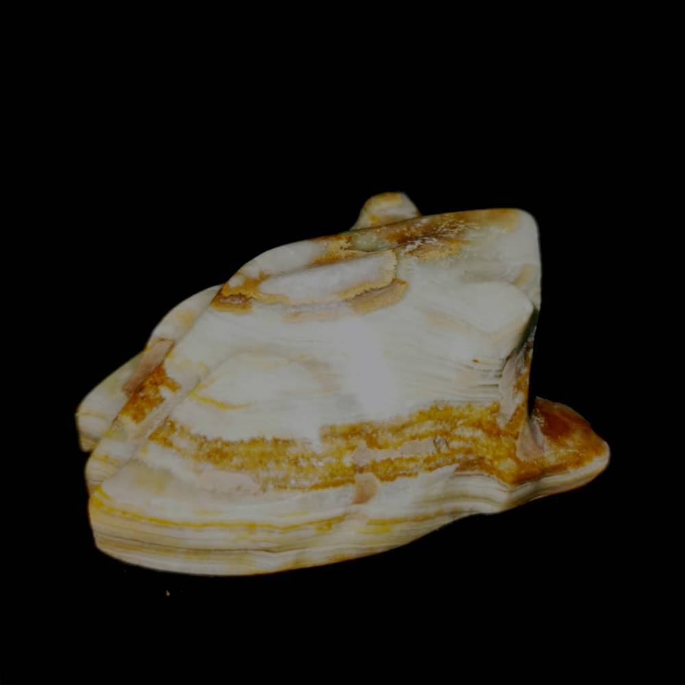 Лягушка оникс асс.