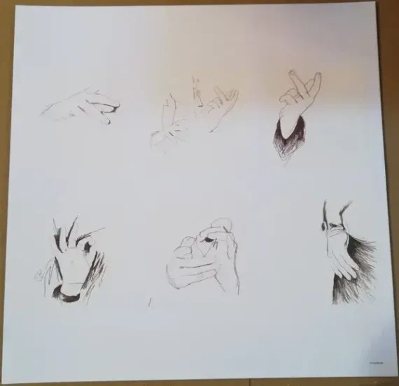 Paul McCartney - Chaos And Creation In The Backyard