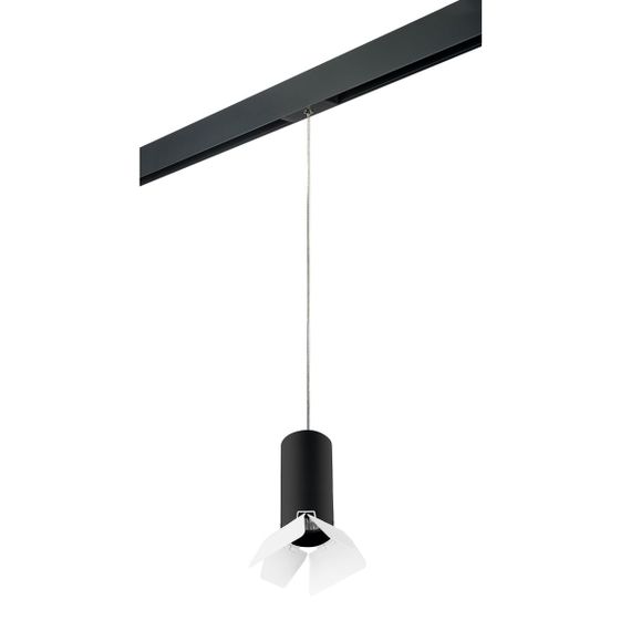 Комплект с трековым светильником Lightstar Rullo (214487+595857+202436) PRORP487436