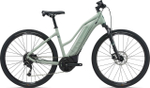 Электровелосипед Giant Rove E+ (2022)