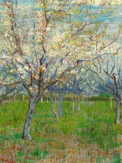 Картины-наклейки на стену для декора интерьерные №49