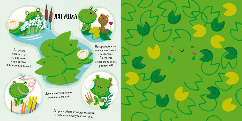 Найди меня. Веселые прятки