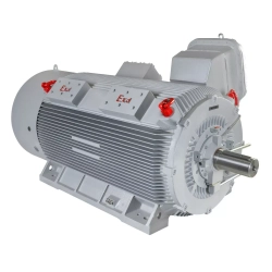 Электродвигатель ESQ M 400-SDN 6,0-315/1500-EP-C IP55 (SG) 315/1500 IM1001