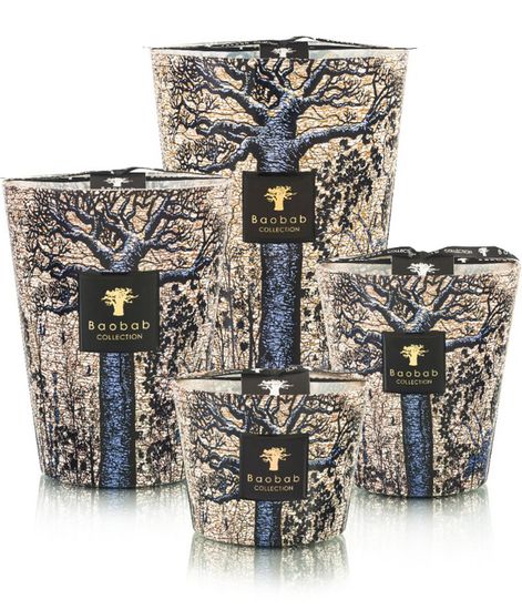 Seguela, свеча MAX 10 Sacred Trees collection, Baobab Collection