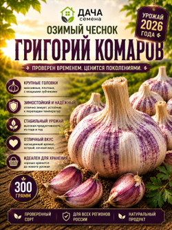 Семенной чеснок Григорий Комаров 300 г, озимый, посадочный материал для посадки, урожайный сорт