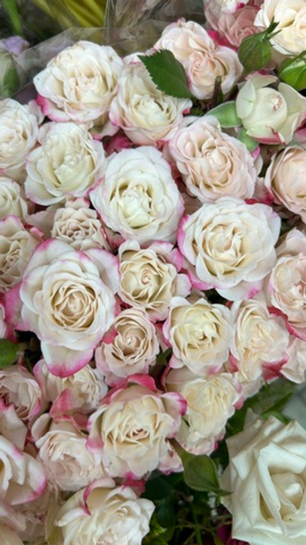 букет из 11 веток розовых кустовых роз в розовой упаковке