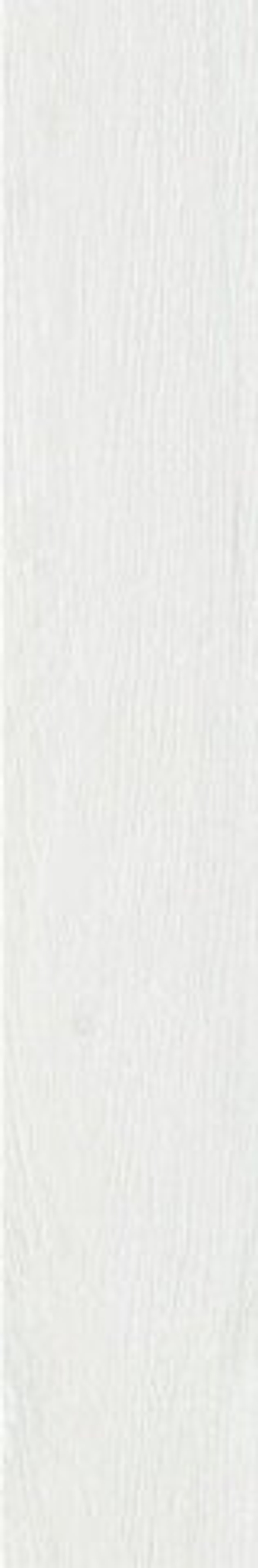 Cifre Nebraska White 9.8x59.3