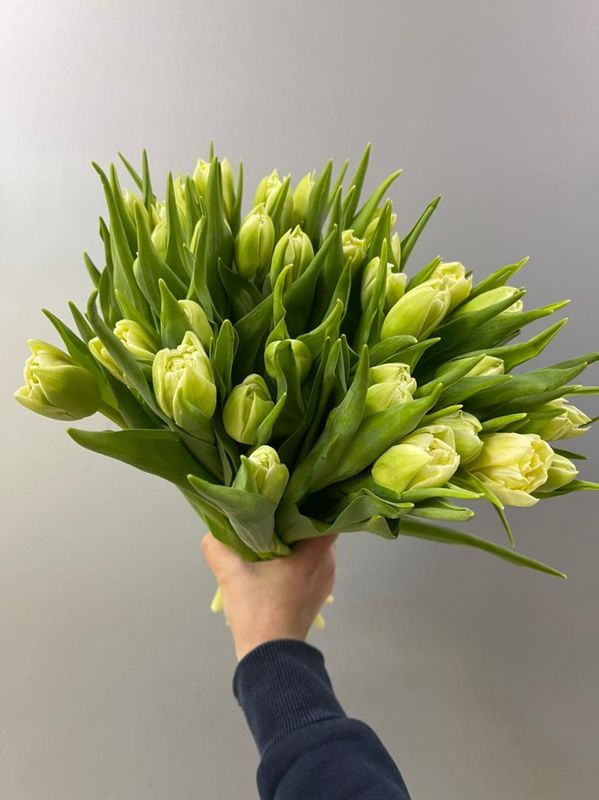 Букет 35 Тюльпанов (Б-170)