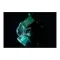 Van Den Hul Classic The Frog