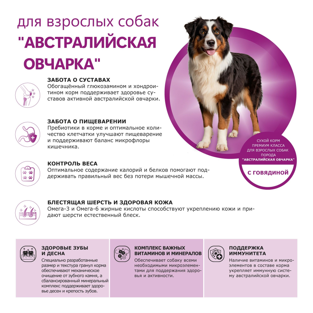 Корм сухой для взрослых собак породы Австралийская овчарка, премиум полнорационный комплекс, с говядиной, 2,5 кг, QUATTRO
