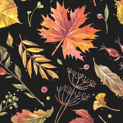 Осень на черном 1