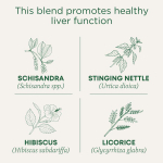 Traditional Medicinals, Organic EveryDay Detox®, ягоды гибискуса и лимонника, без кофеина, 16 чайных пакетиков в упаковке, 24 г (0,85 унции)