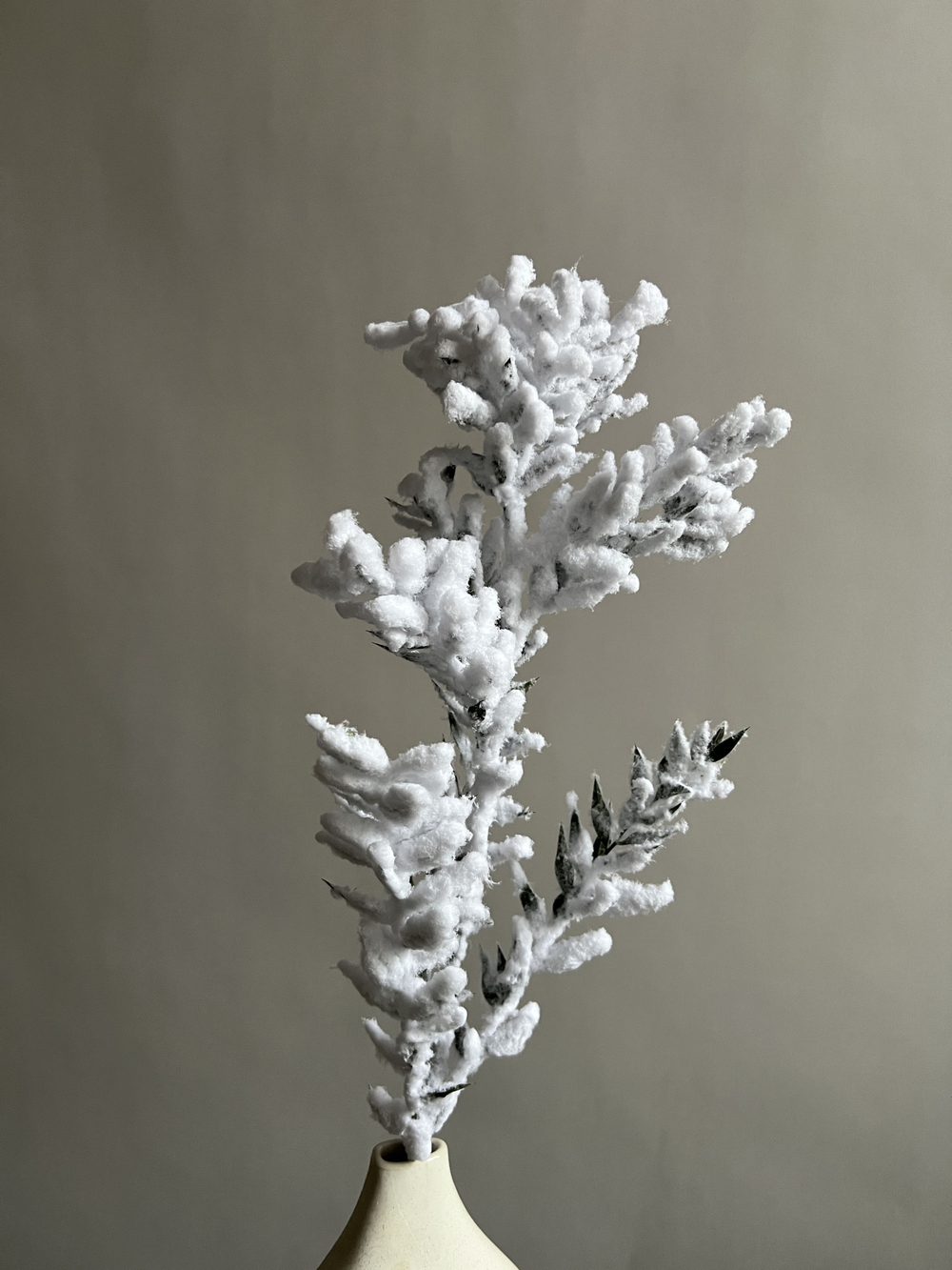 Рускус Flock Wit 1 ветка