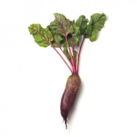 КАРИЛЛОН семена свеклы Rijk Zwaan купить – фото 1