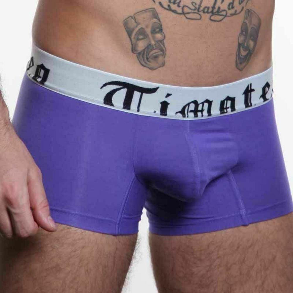 Мужские трусы боксеры Timoteo Classic Trunk Purple