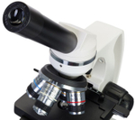 Микроскоп  Levenhuk Discovery Atto Polar