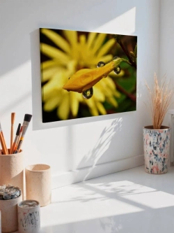 Картина на стену 40 X 50 Желтый цветок