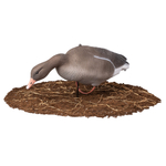 Серый гусь Softplast мод. S10S